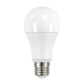 IQ-LED A60 14W-CW *LAMPA LED